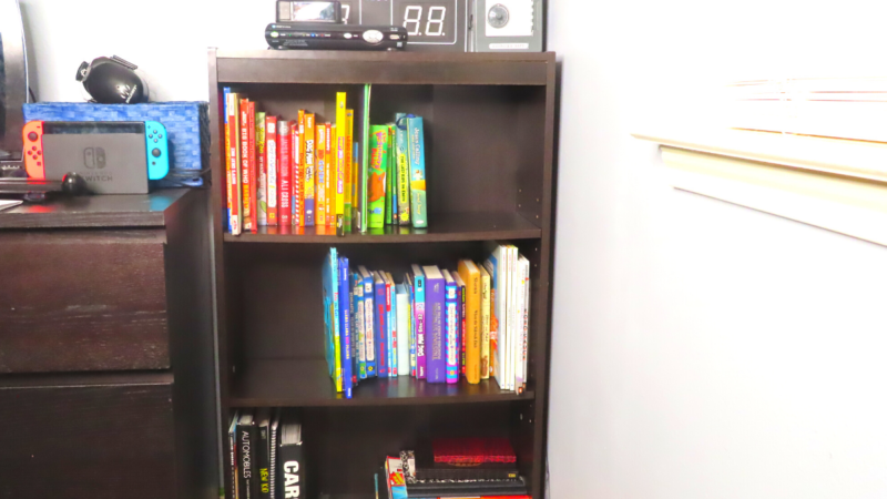 How To Organize Your Kid’s Bookshelf Like a Pro