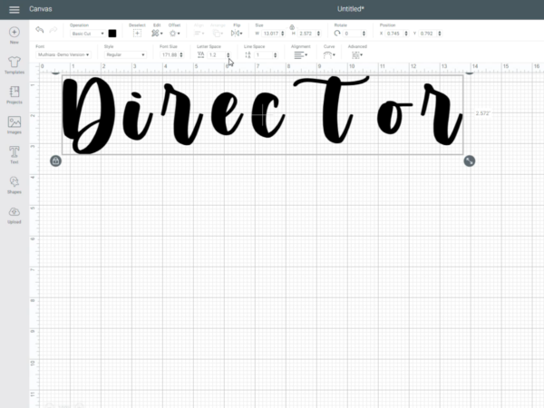Type the word director on the canvas of Design Space