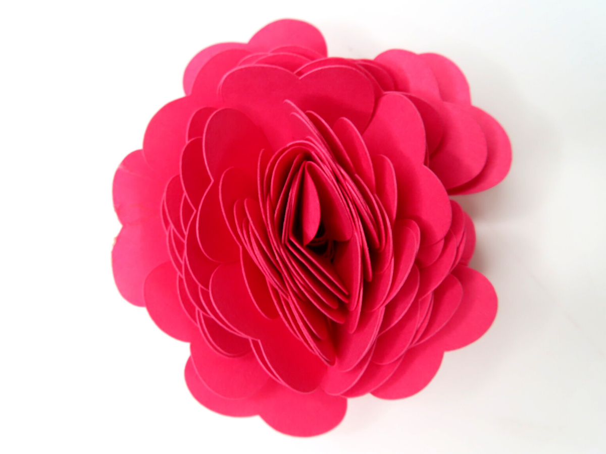 How to Make Cricut Paper Flowers (All 10!)  Paper flowers, Paper flowers  diy, Rolled paper flowers